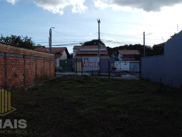 #55 - Área para Venda em Aparecida de Goiânia - GO - 3
